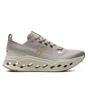 On Running Cloudsurfer Max Cinder Pelican